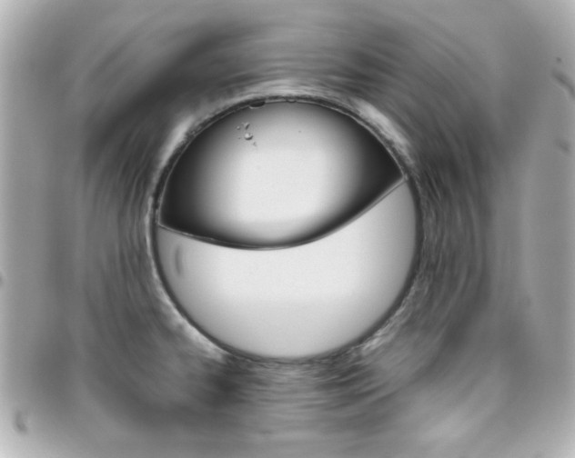 X0000096401334200801240955