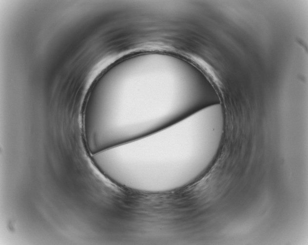 X0000096401335200801240955
