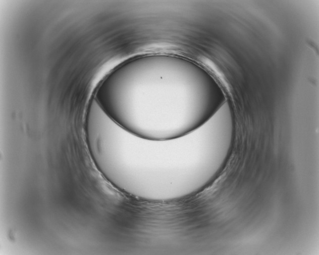 X0000096401336200801240955