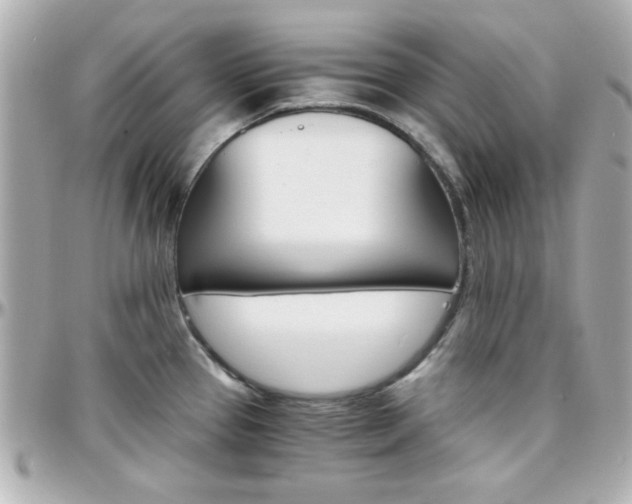 X0000096401337200801240955