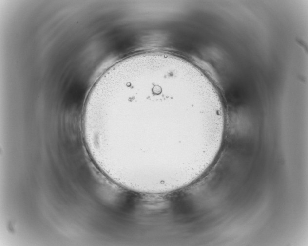 X0000096401338200801240955