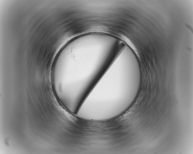X0000096401339200801240955