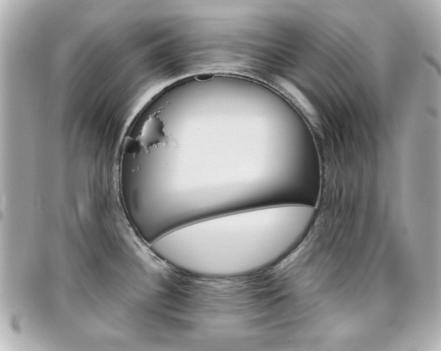 X0000096401340200801240955