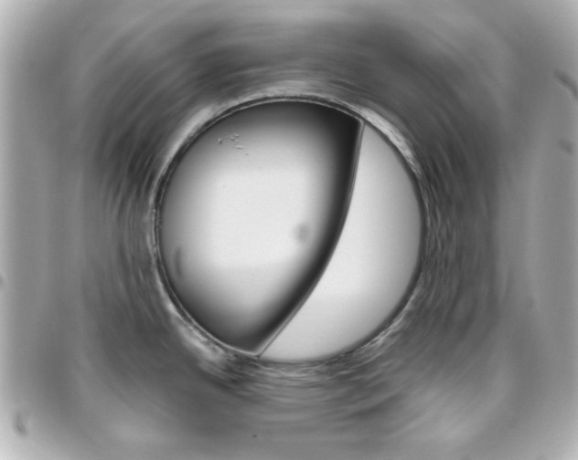 X0000096401342200801240955
