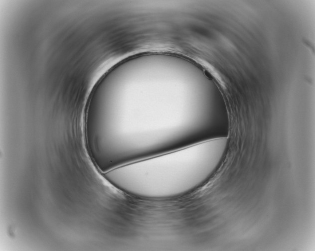 X0000096401343200801240955