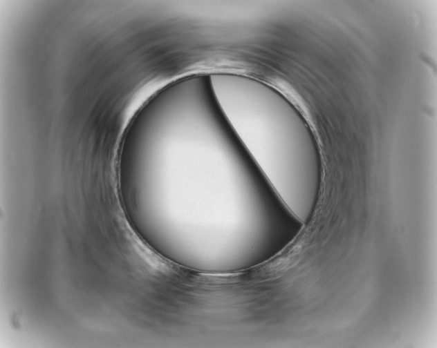 X0000096401344200801240955