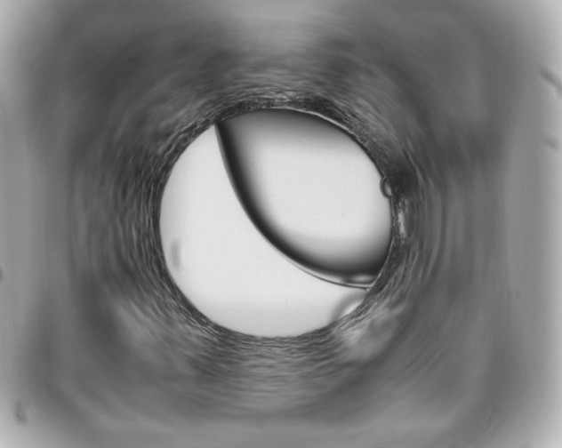 X0000096401347200801240955