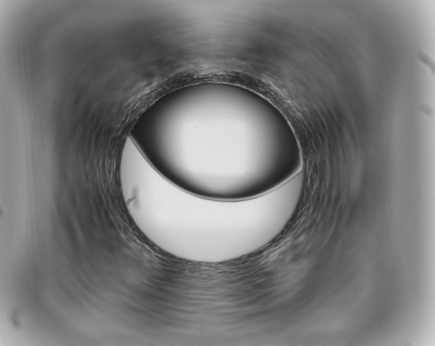 X0000096401348200801240955