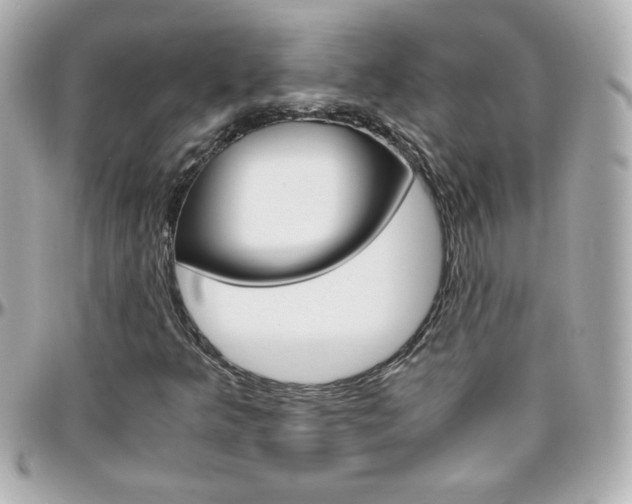 X0000096401349200801240955