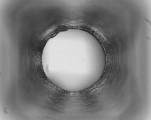 X0000096401350200801240955