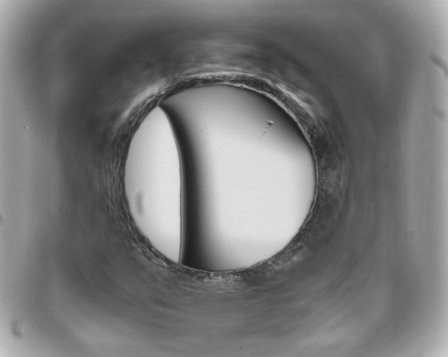 X0000096401351200801240955