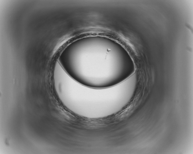 X0000096401352200801240954