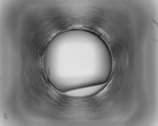 X0000096401353200801240954