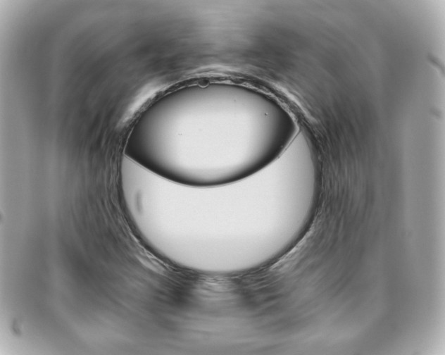 X0000096401355200801240954
