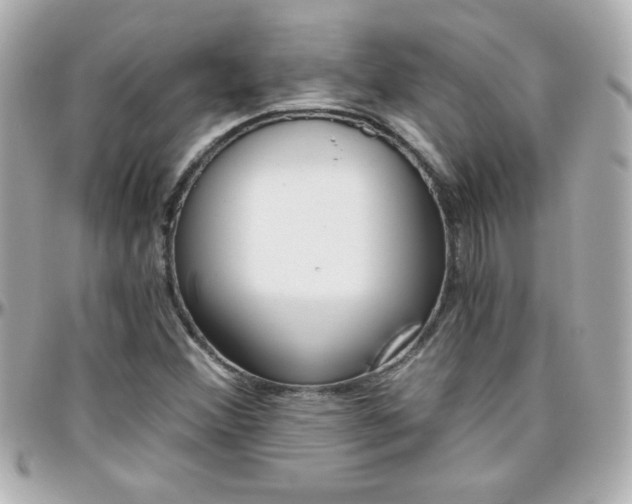 X0000096401356200801240954
