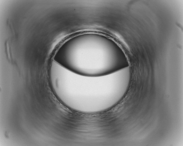 X0000096401360200801240954