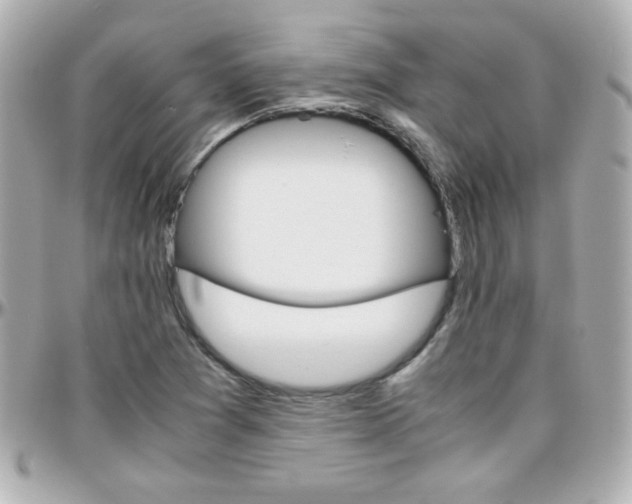 X0000096401361200801240954