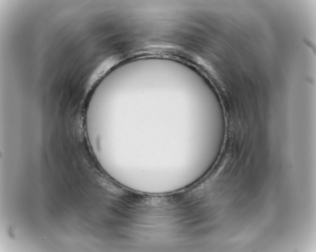 X0000096401362200801240954