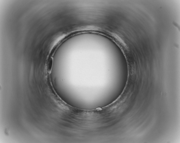 X0000096401364200801240954