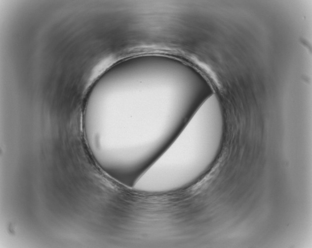 X0000096401365200801240954