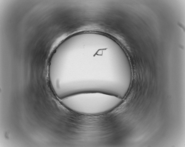 X0000096401366200801240954
