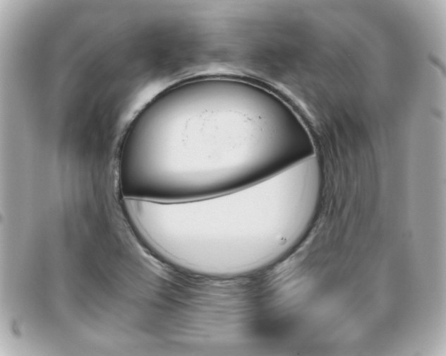 X0000096401367200801240954