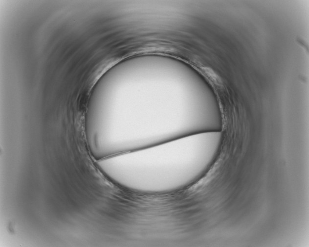 X0000096401369200801240954