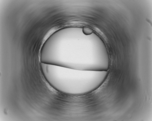 X0000096401370200801240954