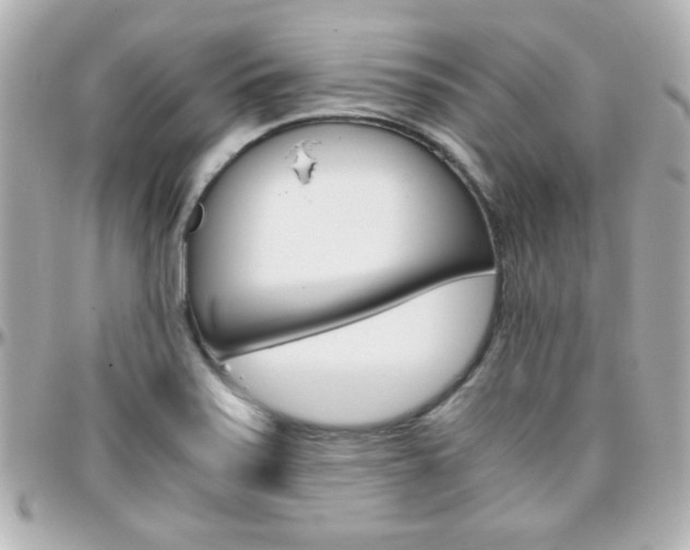 X0000096401371200801240954