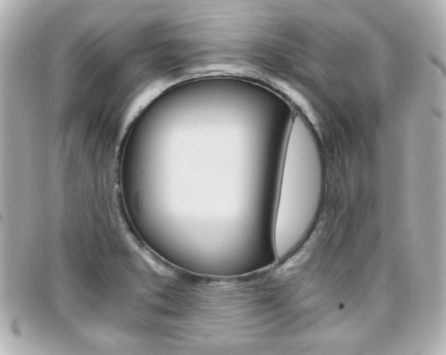 X0000096401373200801240954