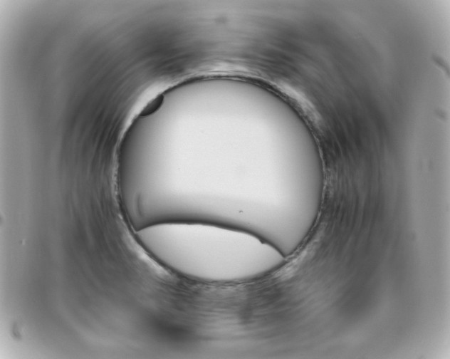 X0000096401374200801240954
