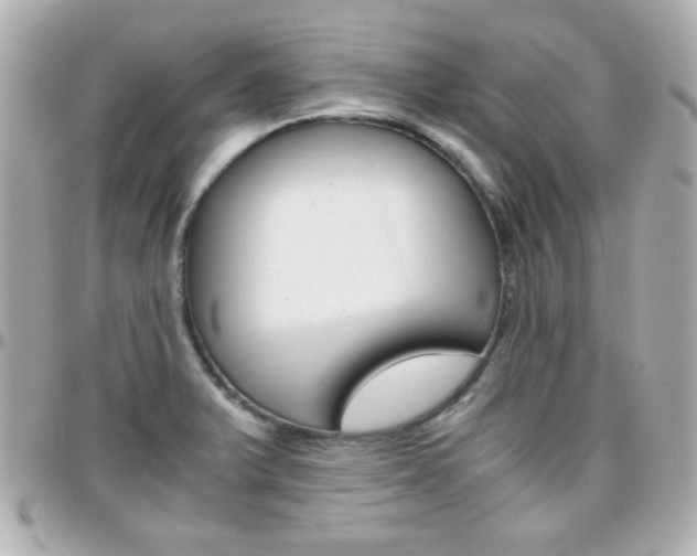 X0000096401375200801240954