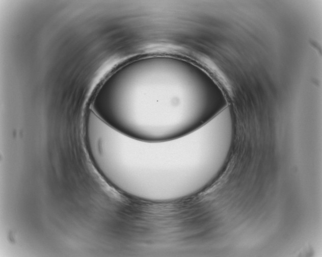 X0000096401376200801240954