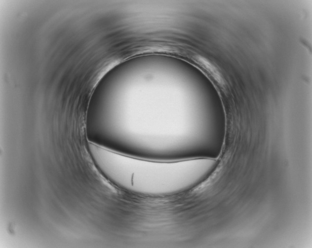 X0000096401377200801240954