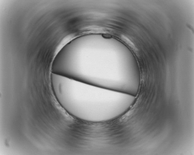 X0000096401378200801240954