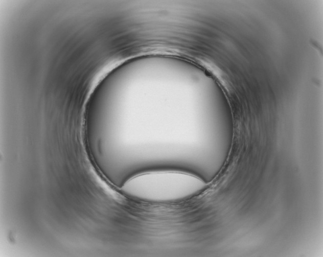 X0000096401379200801240954