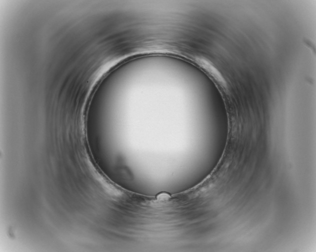 X0000096401380200801240954