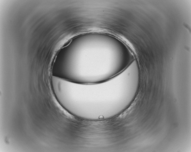 X0000096401381200801240954