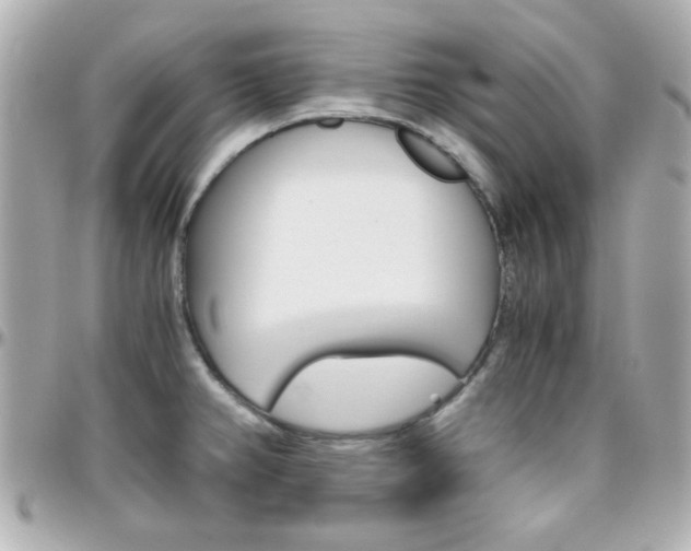 X0000096401382200801240954