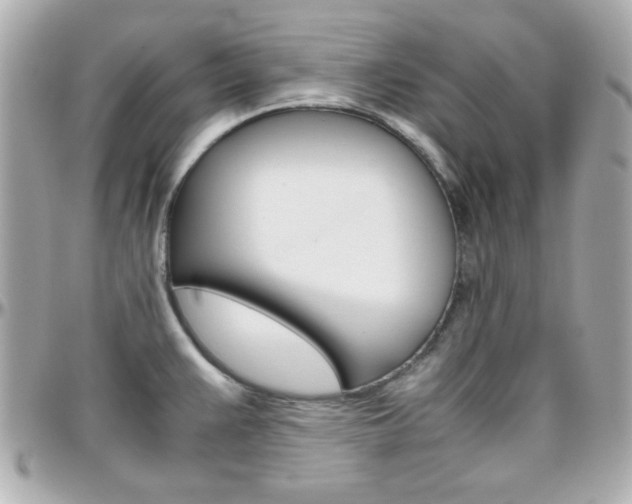 X0000096401383200801240954
