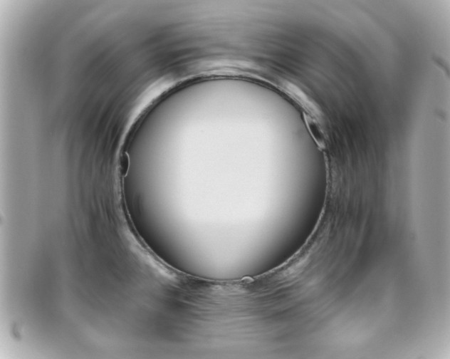 X0000096401384200801240954