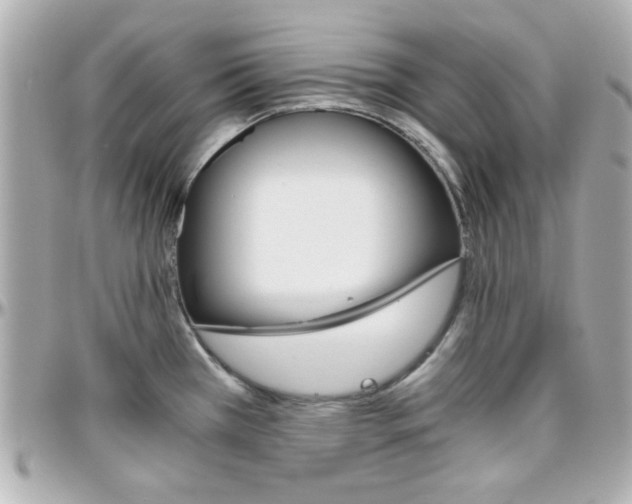 X0000096401385200801240954