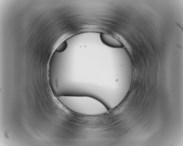 X0000096401386200801240954