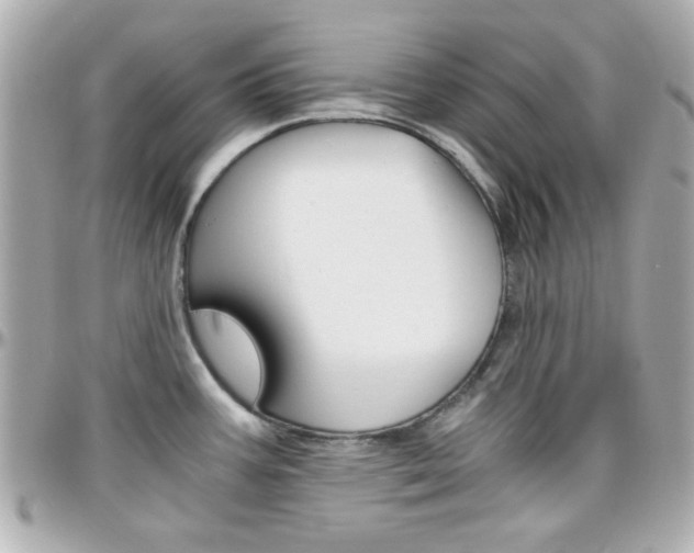 X0000096401387200801240954