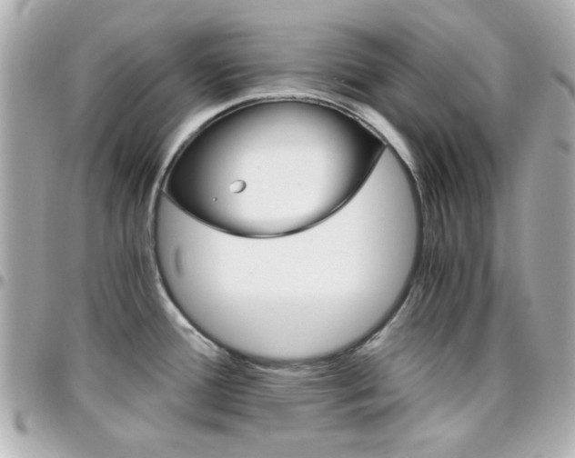 X0000096401388200801240954