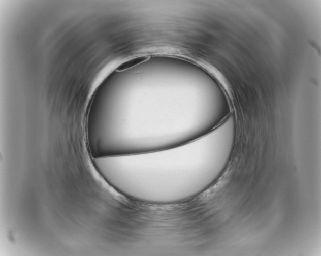 X0000096401389200801240954