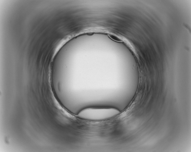 X0000096401390200801240954