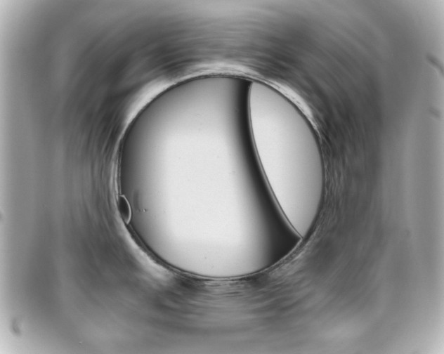 X0000096401391200801240954