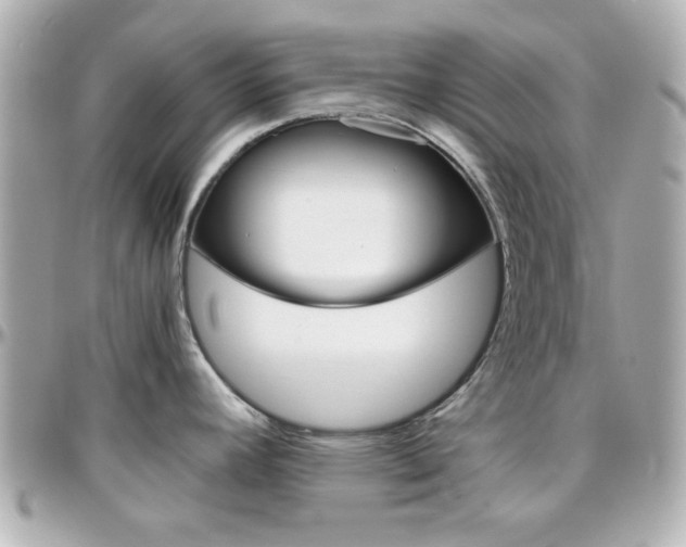 X0000096401392200801240954