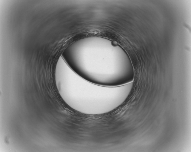 X0000096401394200801240953